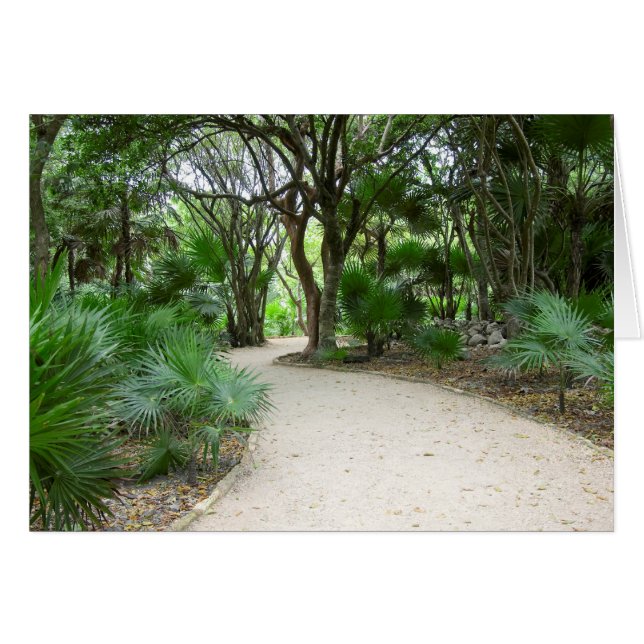 Piste Tulum (Devant horizontal)