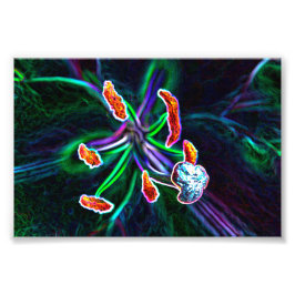 Pistilo de flor con efecto abstracto Foto Afdruk