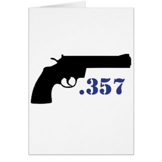 **PISTOOL 357**