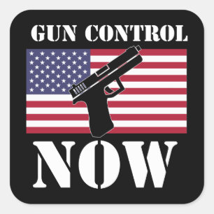 Pistool Control Now - American Flag - Sticker