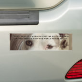 Pit Bill Bumpersticker (Op auto)