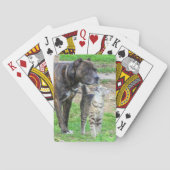 Pit Bull and Cat Pokerkaarten (Achterkant)