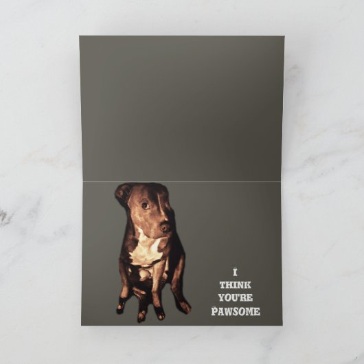 PIT BULL BANNIVERDALITÉ CARTE DE SALUT (Intérieur)