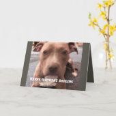 PIT BULL BANNIVERDALITÉ CARTE DE SALUT (Fleur jaune)