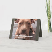 PIT BULL BANNIVERDALITÉ CARTE DE SALUT (Devant)