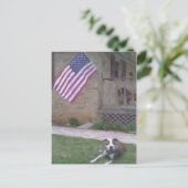 Pit Bull/BSL-Briefkaart Briefkaart (Staand voorkant)