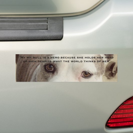 Pit Bull Bumpersticker (Op auto)