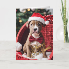 Pit Bull Christmas puppy in een mand Feestdagen Kaart