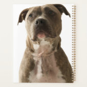 Pit Bull Dog Gift Bag Planner (Achterkant)