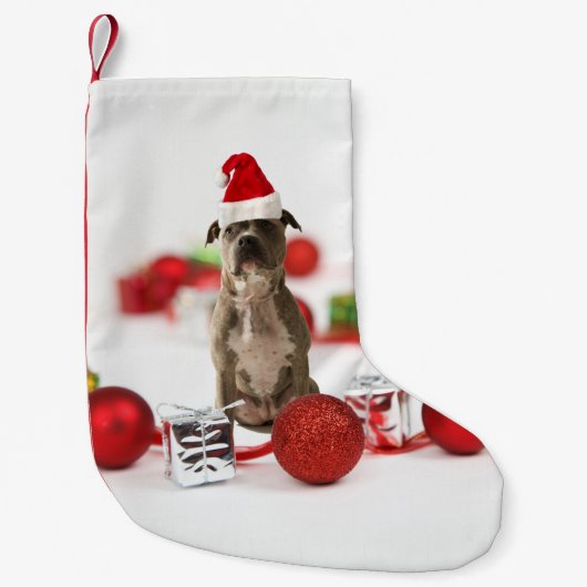 Pit Bull Dog met cadeaudoos en kerstversieringen Kleine Kerstsok (Voorkant)