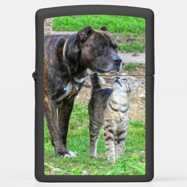 Pit Bull en Cat (Voorkant)