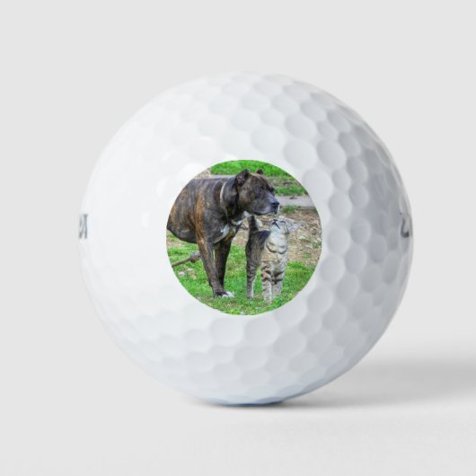 Pit Bull en Cat Golfballen (Voorkant)