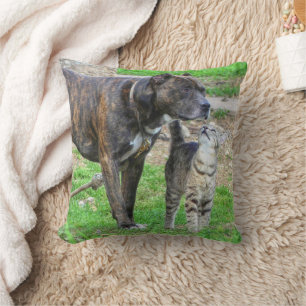 Pit Bull en Cat Kussen