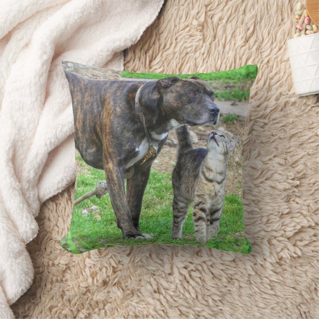 Pit Bull en Cat Kussen (Deken)