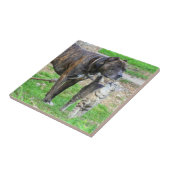 Pit Bull en Cat Tegeltje (Zijkant)