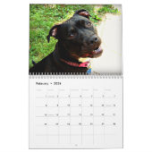Pit Bull en Rottweiler Love Kalender (Feb 2026)