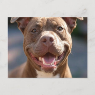 Pit Bull-foto toevoegen aanpassen Briefkaart