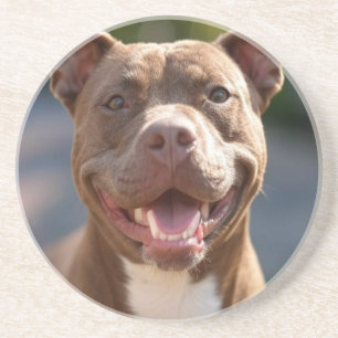 Pit Bull-foto toevoegen aanpassen Zandsteen Onderzetter