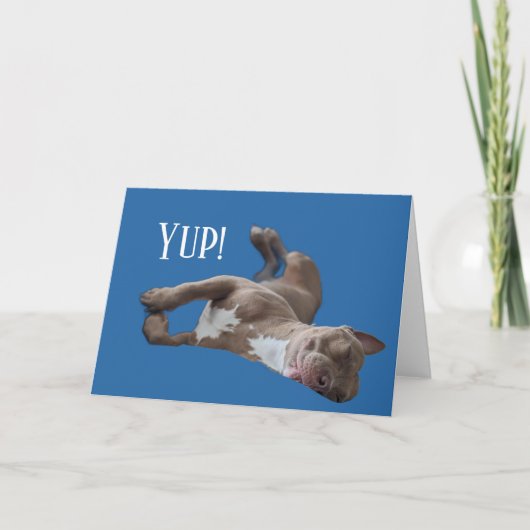 Pit Bull Grappig Kaart (Voorkant)