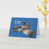 Pit Bull Grappig Kaart (Gele Bloem)