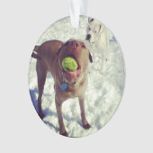 Pit Bull-kerstversiering Ornament (voorkant)