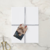 Pit Bull Liefde Blank Cadeaulabel (Met Touw)