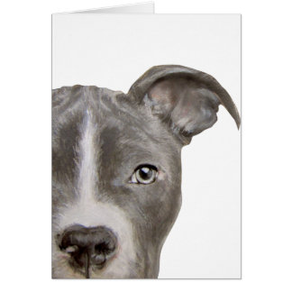 Pit bull Origineel schilderen en ontwerp door midd