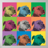 Pit Bull Pop-Art Poster (Voorkant)