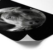 Pit bull poster (Hoek)