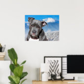 Pit Bull Poster (Thuiskantoor)
