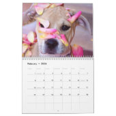 Pit Bull Proud Kalender (Feb 2026)