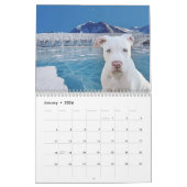 Pit Bull Proud Kalender (Jan 2026)