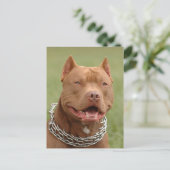 Pit Bull Puppy Dog Blank Briefkaart (Staand voorkant)
