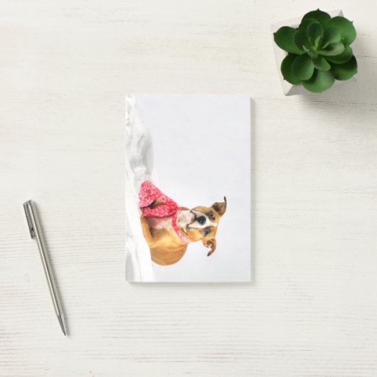 Pit Bull Puppy Love in Roze XOXO Post-it® Notes (Kantoor)