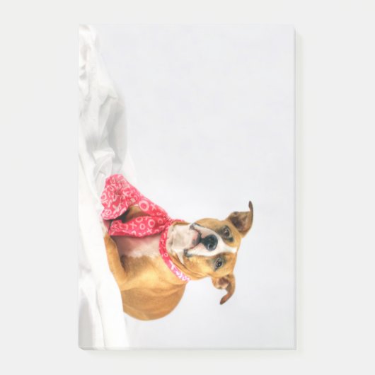 Pit Bull Puppy Love in Roze XOXO Post-it® Notes (Voorkant)