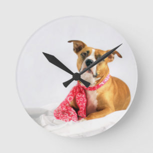 Pit Bull Puppy Love in Roze XOXO Ronde Klok