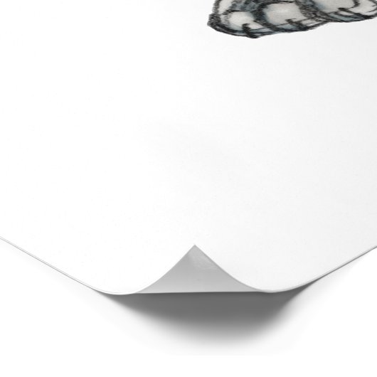 Pit Bull Puppy Sketch Tekening Poster (Hoek)