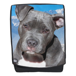 Pit Bull Rugtassen