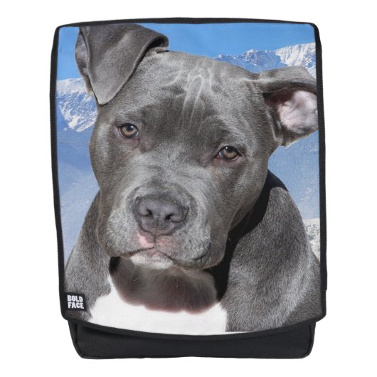 Pit Bull Rugtassen (Voorkant)