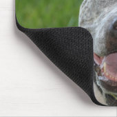 pit bull sharky mousepad dog pitbull glimlach muismat (Hoek)