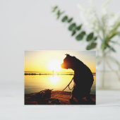 Pit Bull Sunrise Briefkaart (Staand voorkant)