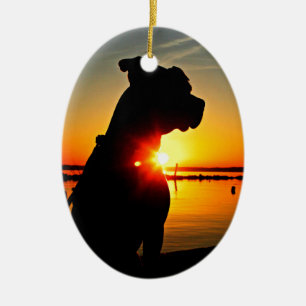 Pit Bull Sunrise Keramisch Ornament