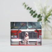 Pit Bull T Bone Fire House Dog Briefkaart (Staand voorkant)