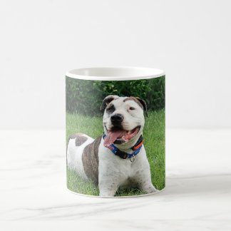 Pit Bull T-Bone Koffiemok