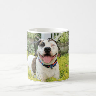 Pit Bull T-Bone Koffiemok