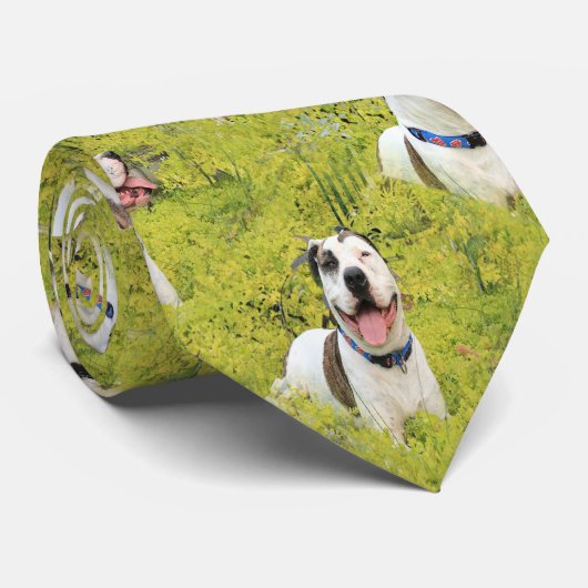 Pit Bull T-Bone Stropdas (Opgerold)