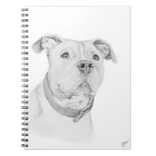 Pit Bull, verkeerd begrepen Notitieboek
