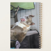 Pit-stier Planner (Achterkant)