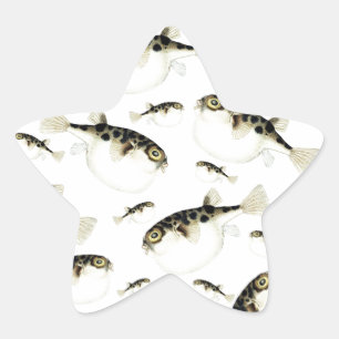 Pit-witpatroon voor Puffer Fish Ster Sticker