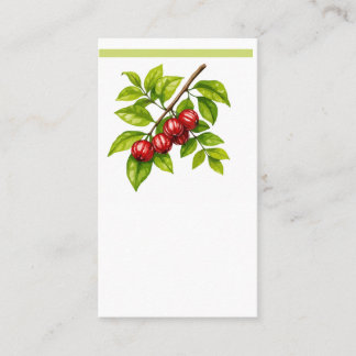 Pitangueira e Saí-andorinha (Tersina viridis) Visitekaartje